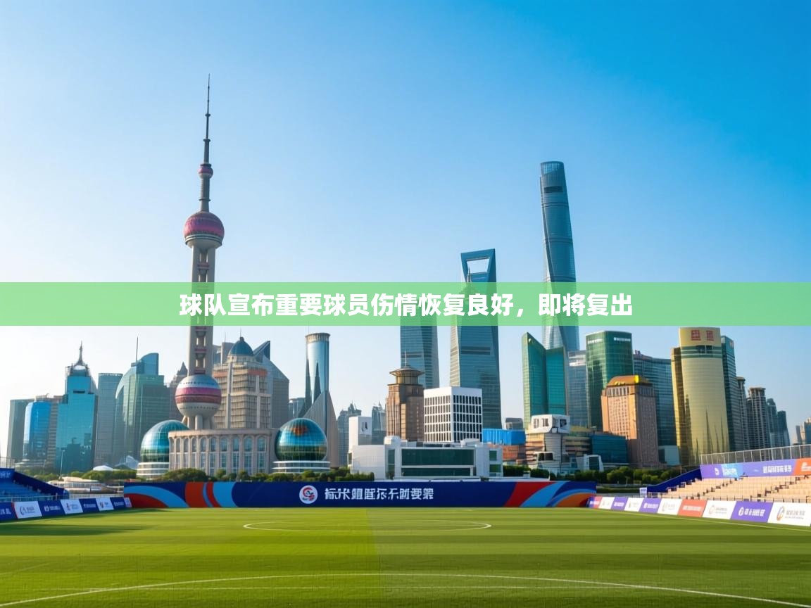 球队宣布重要球员伤情恢复良好，即将复出  第1张