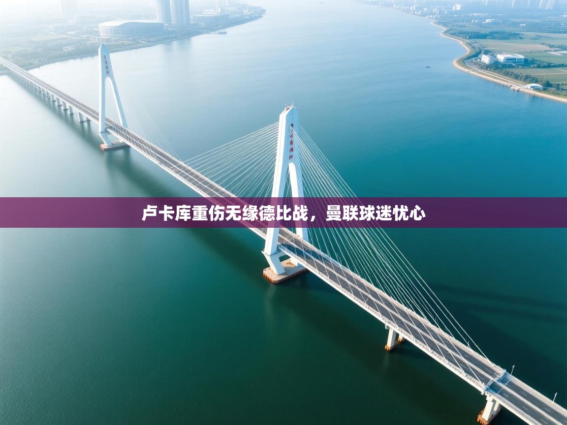 卢卡库重伤无缘德比战，曼联球迷忧心  第2张