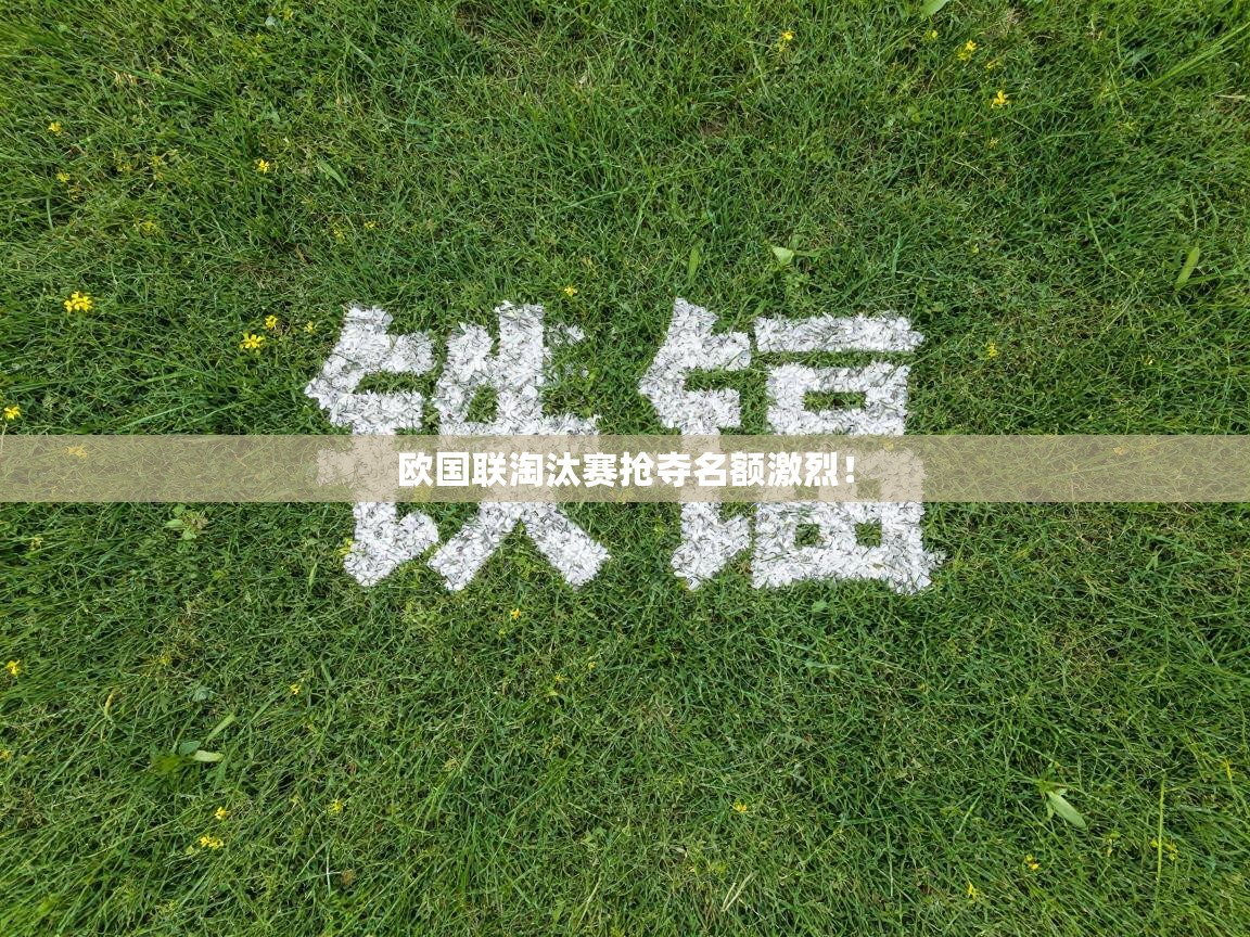 欧国联淘汰赛抢夺名额激烈！  第1张