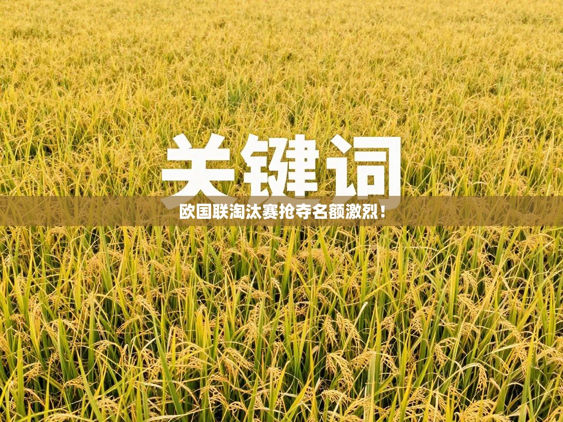 欧国联淘汰赛抢夺名额激烈！  第2张
