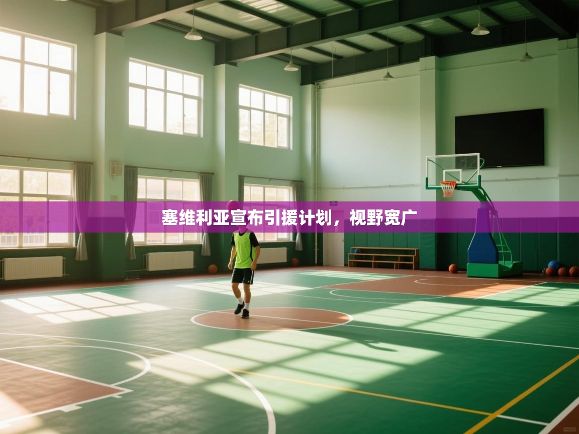 塞维利亚宣布引援计划，视野宽广  第1张