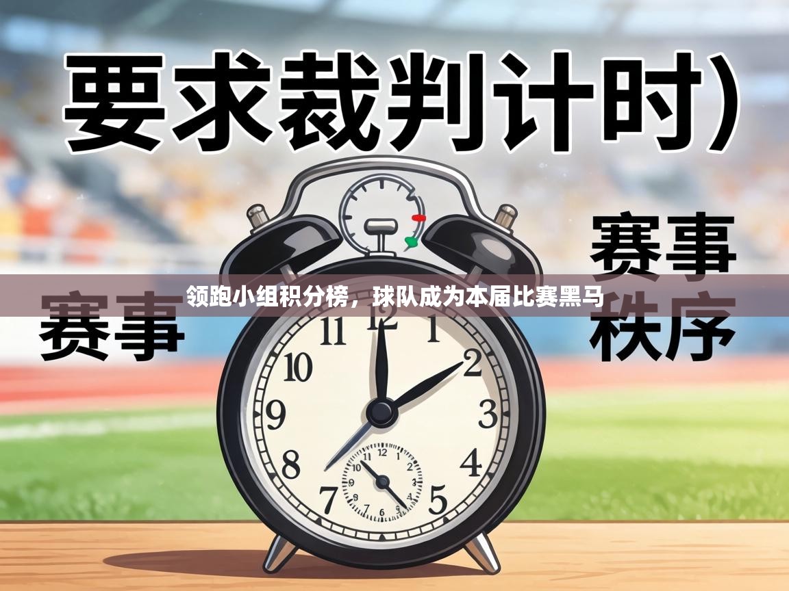 领跑小组积分榜,球队成为本届比赛黑马 第2张