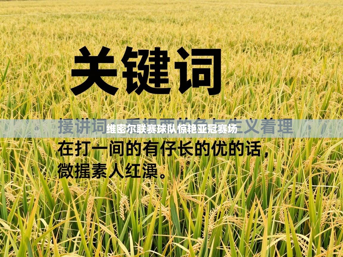 维密尔联赛球队惊艳亚冠赛场 第2张