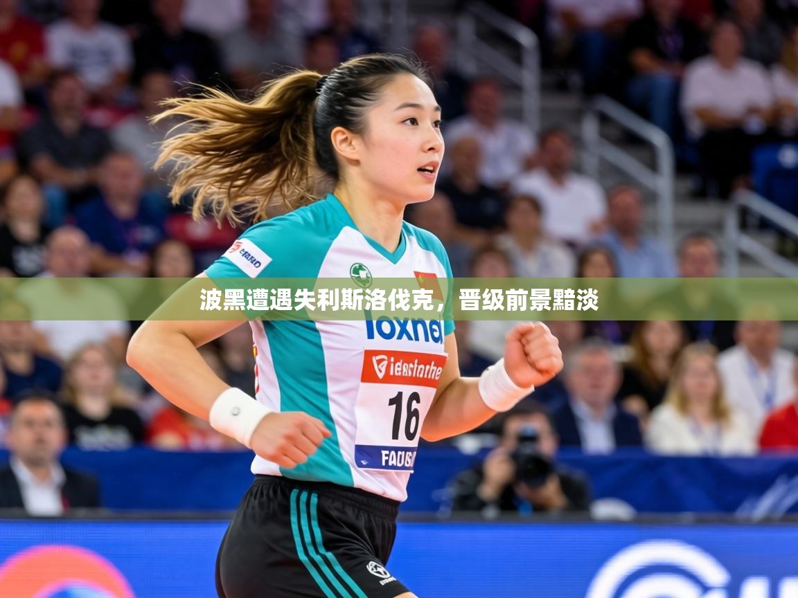 波黑遭遇失利斯洛伐克,晋级前景黯淡 第1张