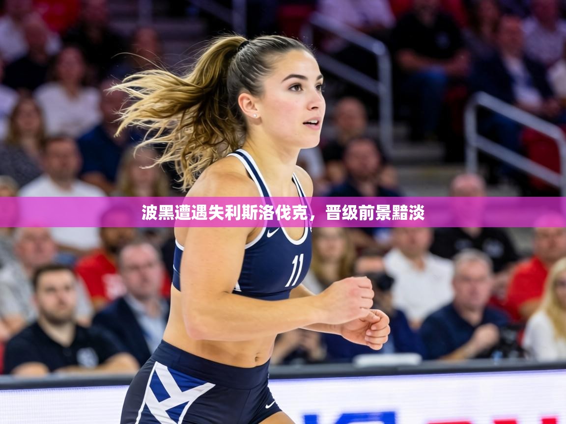 波黑遭遇失利斯洛伐克,晋级前景黯淡 第2张