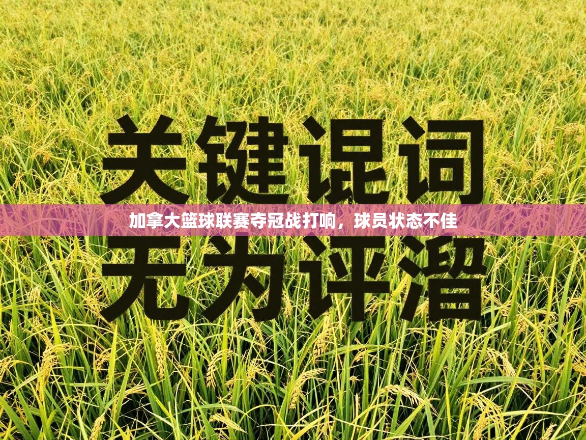 加拿大篮球联赛夺冠战打响，球员状态不佳  第2张